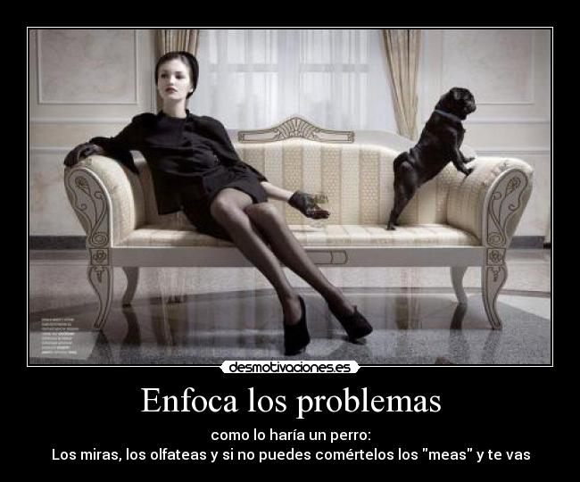 Enfoca los problemas - como lo haría un perro:
Los miras, los olfateas y si no puedes comértelos los meas y te vas