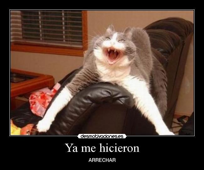 Ya me hicieron - ARRECHAR