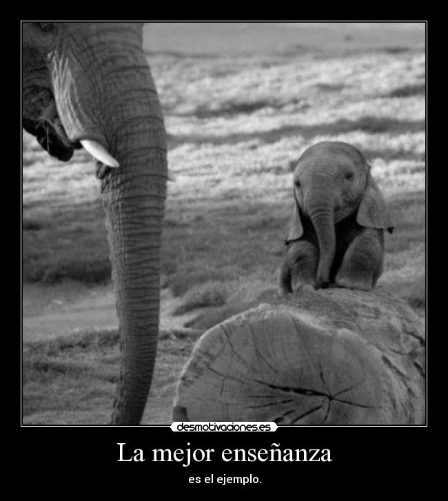 La mejor enseñanza -