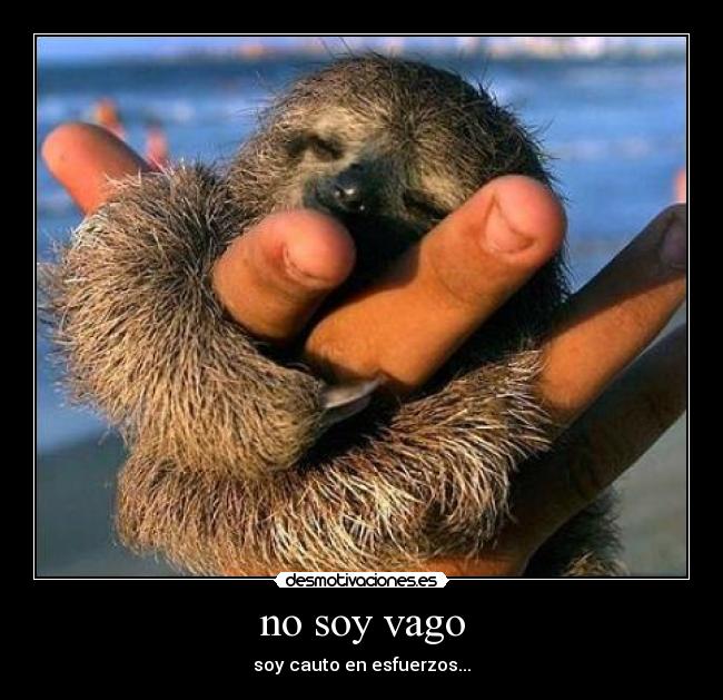 no soy vago - soy cauto en esfuerzos...