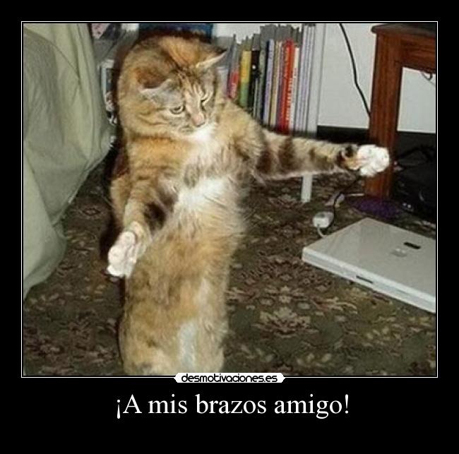 ¡A mis brazos amigo! - 