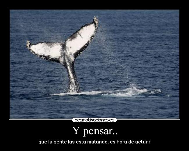 Y pensar.. - 