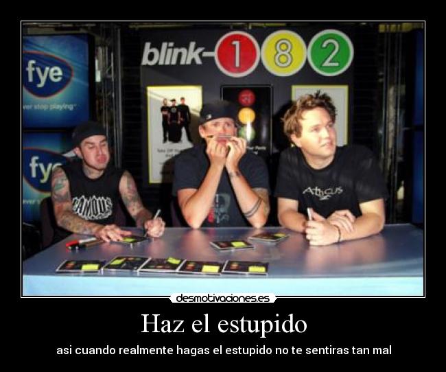 Haz el estupido -