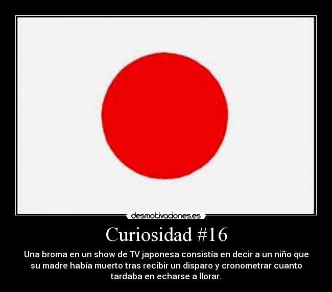 Curiosidad #16 - 