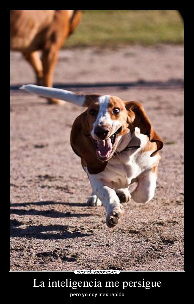 La inteligencia me persigue - pero yo soy más rápido