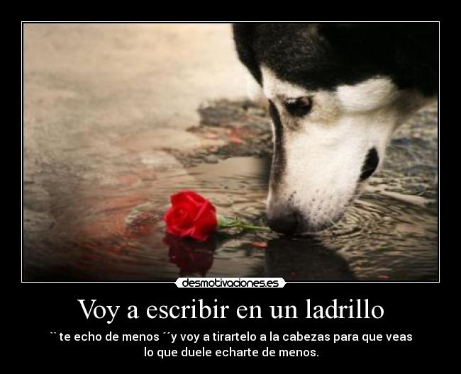 carteles echo menos desmotivaciones