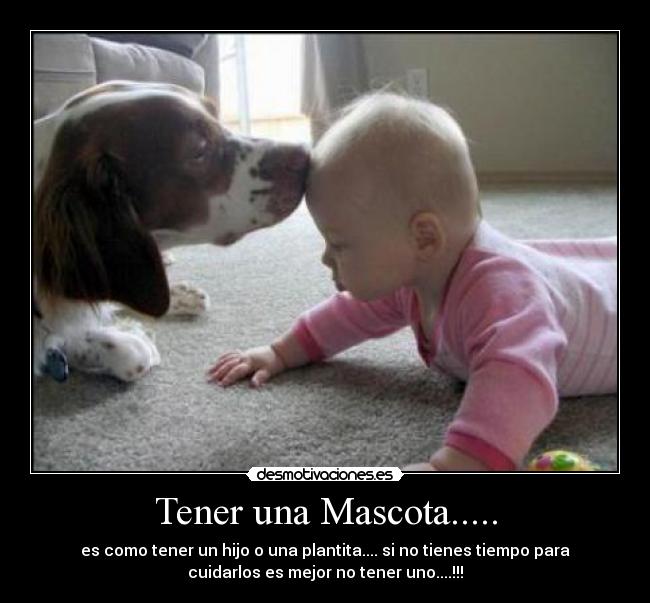 Tener una Mascota..... -