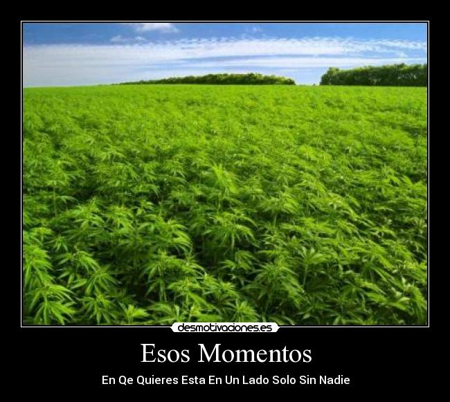 Esos Momentos - 