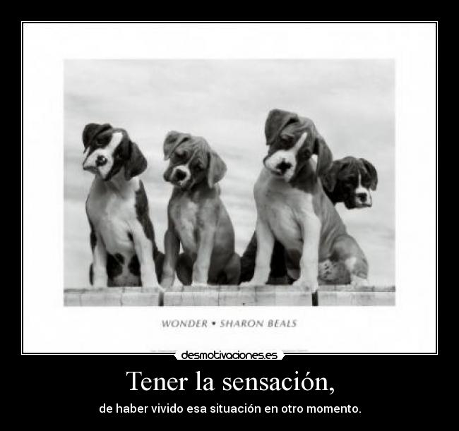 carteles sensaciones desmotivaciones