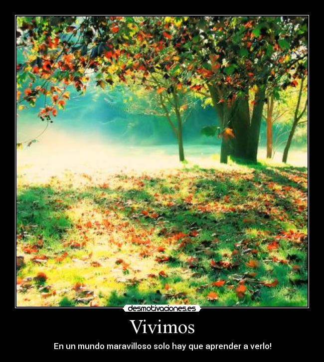 Vivimos - En un mundo maravilloso solo hay que aprender a verlo!