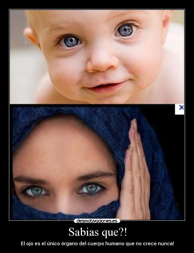 Sabias que?! -