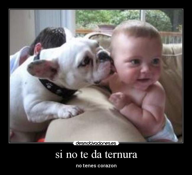 si no te da ternura -