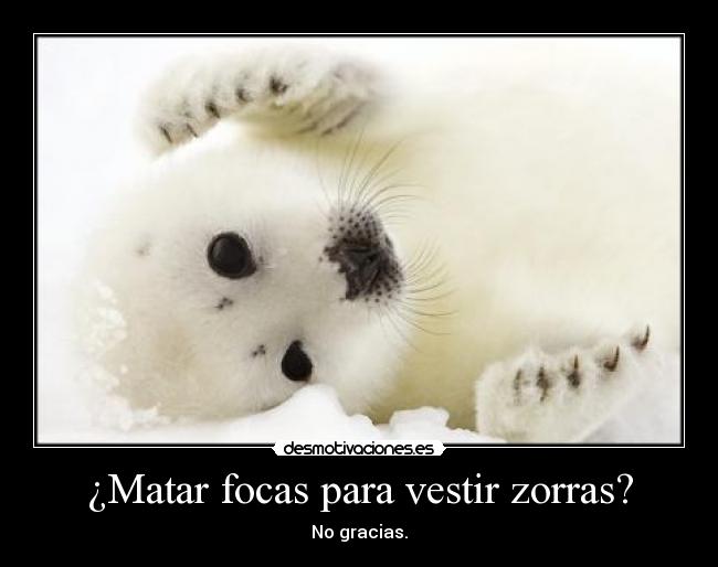 ¿Matar focas para vestir zorras? - No gracias.