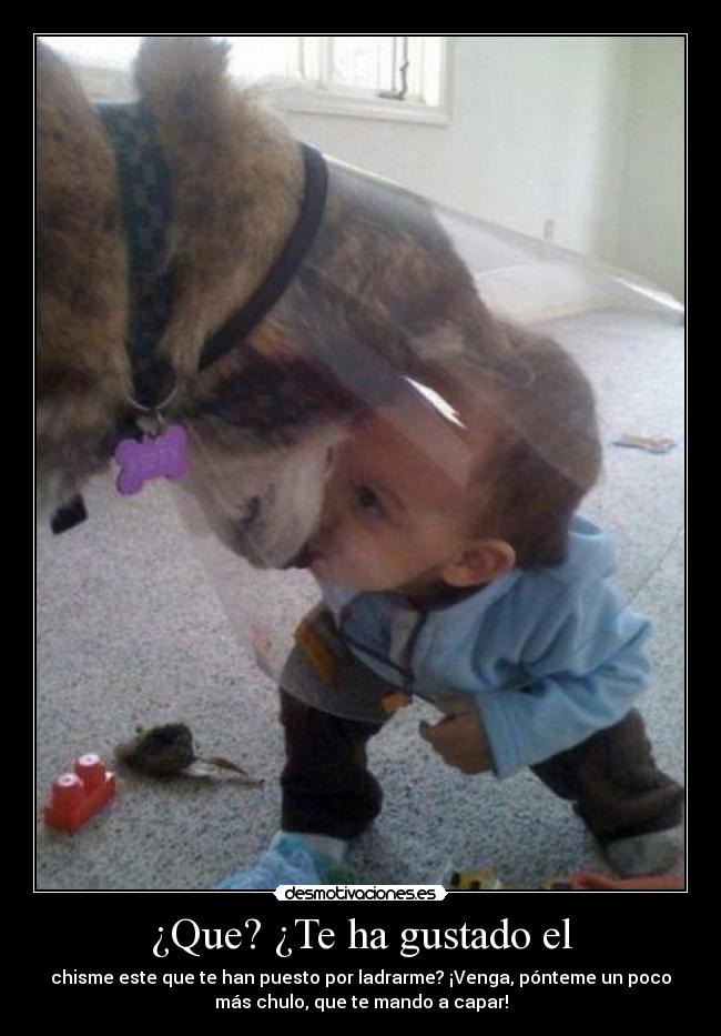 ¿Que? ¿Te ha gustado el -