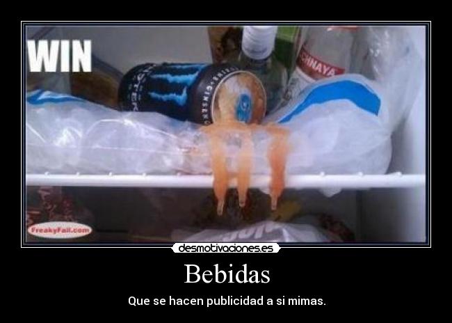 Bebidas - 