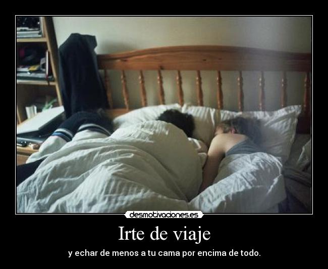 carteles ddddddddddddddddd desmotivaciones