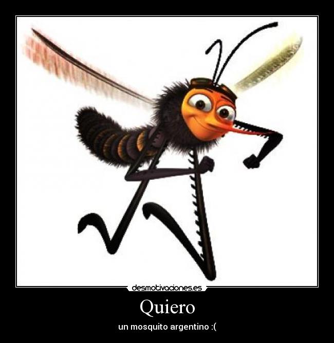 Quiero - un mosquito argentino :(