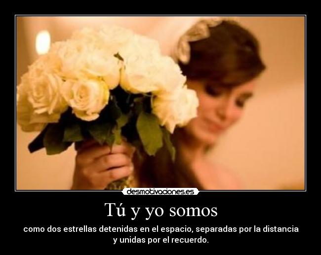 carteles tu somos desmotivaciones