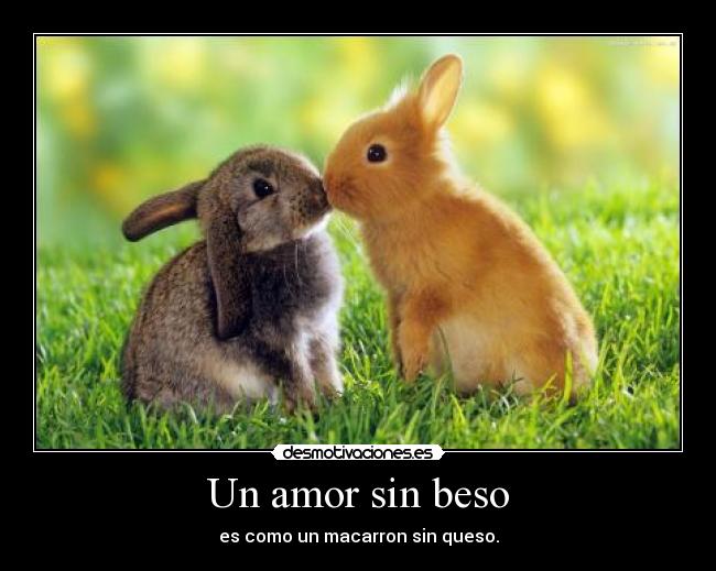 Un amor sin beso -