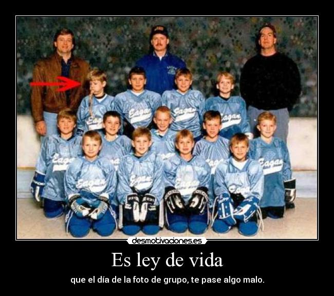 Es ley de vida - 
