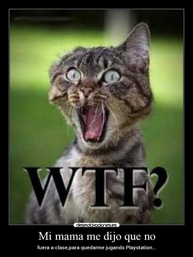 Mi mama me dijo que no -