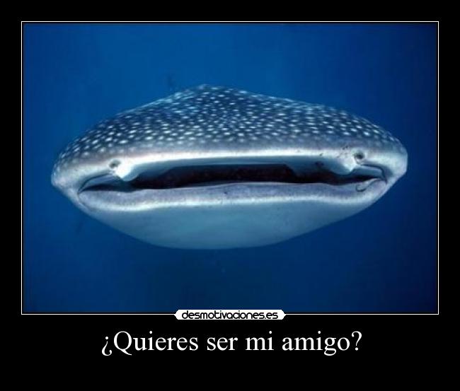 ¿Quieres ser mi amigo? -