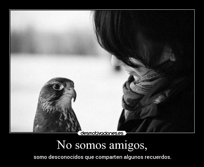 No somos amigos, - somo desconocidos que comparten algunos recuerdos.