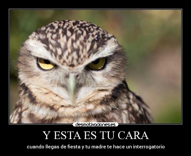 Y ESTA ES TU CARA - cuando llegas de fiesta y tu madre te hace un interrogatorio