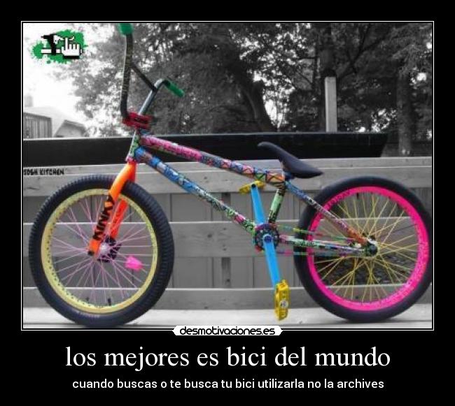 los mejores es bici del mundo - cuando buscas o te busca tu bici utilizarla no la archives