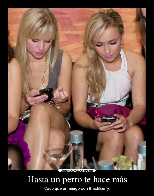Hasta un perro te hace más - Caso que un amigo con BlackBerry.