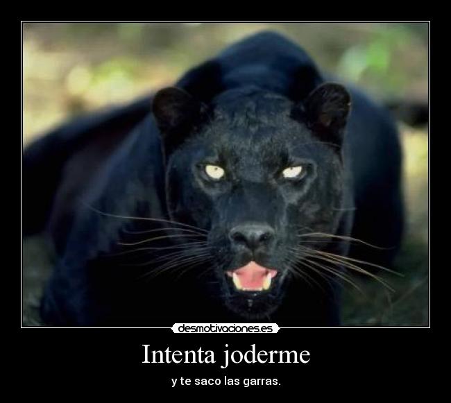 Intenta joderme - 