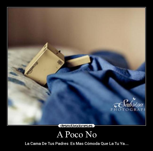 A Poco No - La Cama De Tus Padres  Es Mas Cómoda Que La Tu Ya....