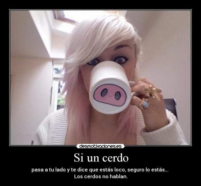 Si un cerdo - pasa a tu lado y te dice que estás loco, seguro lo estás...
Los cerdos no hablan.
