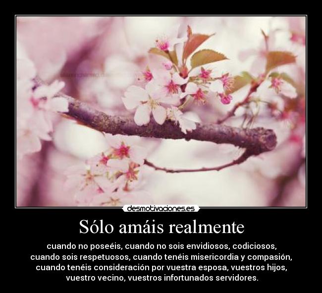 Sólo amáis realmente - cuando no poseéis, cuando no sois envidiosos, codiciosos,
cuando sois respetuosos, cuando tenéis misericordia y compasión,
cuando tenéis consideración por vuestra esposa, vuestros hijos,
vuestro vecino, vuestros infortunados servidores.