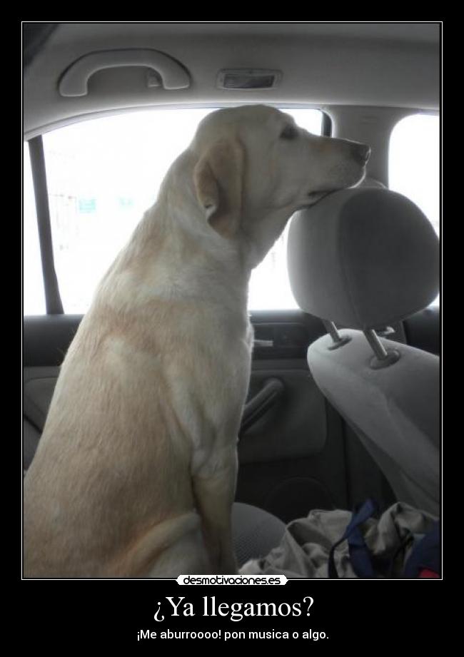 carteles lrc1894 404 etiquetas not found desmotivaciones