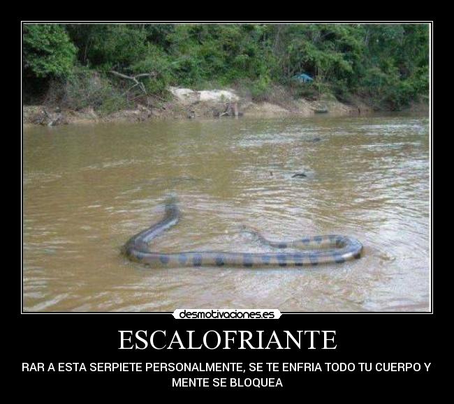 ESCALOFRIANTE - 