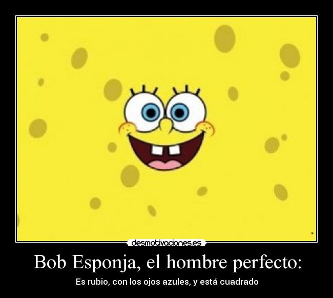 Bob Esponja, el hombre perfecto: - Es rubio, con los ojos azules, y está cuadrado