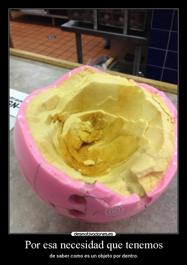 carteles laura rules peque que raro eso desmotivaciones