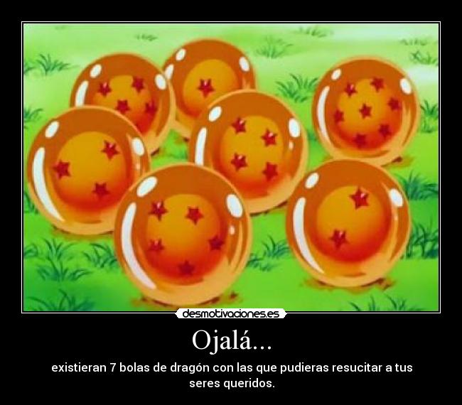 Ojalá... - existieran 7 bolas de dragón con las que pudieras resucitar a tus seres queridos.