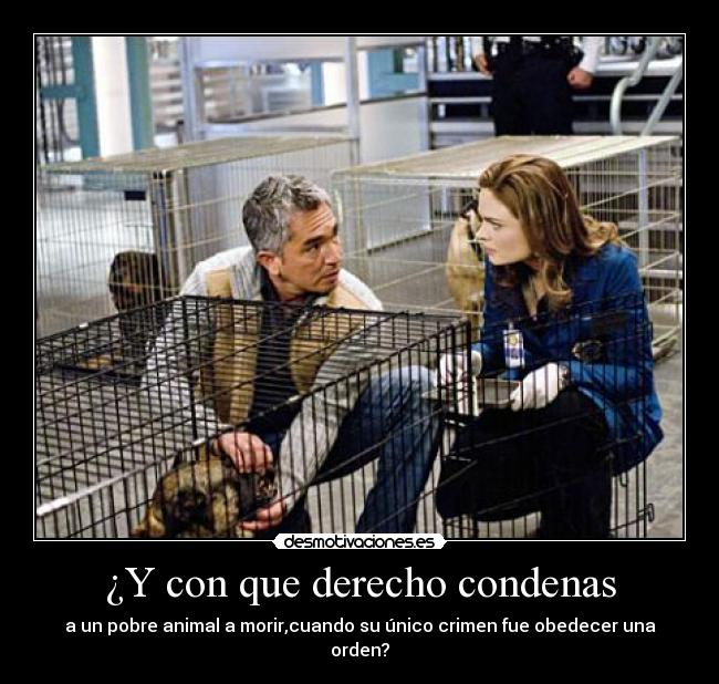 ¿Y con que derecho condenas - 