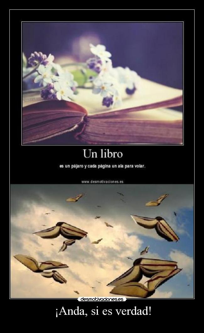 carteles demasiao pal body desmotivaciones