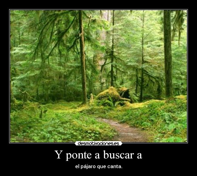 Y ponte a buscar a - 