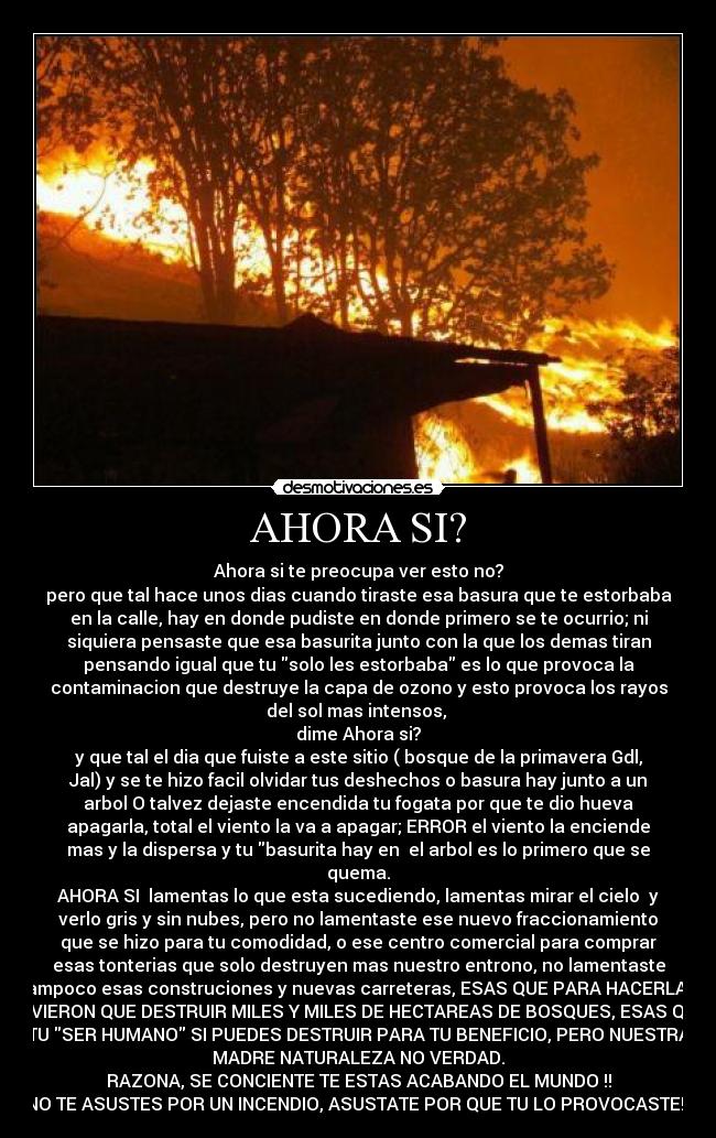 AHORA SI? - Ahora si te preocupa ver esto no?
pero que tal hace unos dias cuando tiraste esa basura que te estorbaba
en la calle, hay en donde pudiste en donde primero se te ocurrio; ni
siquiera pensaste que esa basurita junto con la que los demas tiran
pensando igual que tu solo les estorbaba es lo que provoca la
contaminacion que destruye la capa de ozono y esto provoca los rayos
del sol mas intensos,
dime Ahora si?
y que tal el dia que fuiste a este sitio ( bosque de la primavera Gdl,
Jal) y se te hizo facil olvidar tus deshechos o basura hay junto a un
arbol O talvez dejaste encendida tu fogata por que te dio hueva
apagarla, total el viento la va a apagar; ERROR el viento la enciende
mas y la dispersa y tu basurita hay en el arbol es lo primero que se
quema.
AHORA SI lamentas lo que esta sucediendo, lamentas mirar el cielo y
verlo gris y sin nubes, pero no lamentaste ese nuevo fraccionamiento
que se hizo para tu comodidad, o ese centro comercial para comprar
esas tonterias que solo destruyen mas nuestro entrono, no lamentaste
tampoco esas construciones y nuevas carreteras, ESAS QUE PARA HACERLAS
TUVIERON QUE DESTRUIR MILES Y MILES DE HECTAREAS DE BOSQUES, ESAS QUE
TU SER HUMANO SI PUEDES DESTRUIR PARA TU BENEFICIO, PERO NUESTRA
MADRE NATURALEZA NO VERDAD.
RAZONA, SE CONCIENTE TE ESTAS ACABANDO EL MUNDO !!
NO TE ASUSTES POR UN INCENDIO, ASUSTATE POR QUE TU LO PROVOCASTE!!!