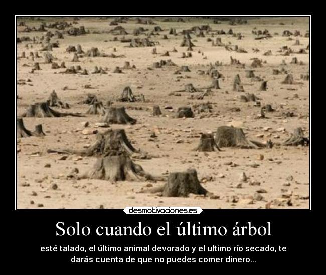 Solo cuando el último árbol - esté talado, el último animal devorado y el ultimo río secado, te
darás cuenta de que no puedes comer dinero...