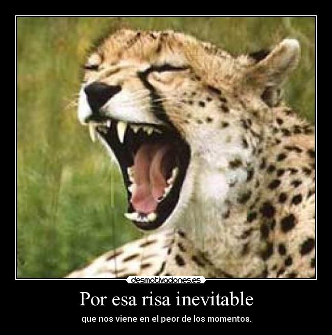 Por esa risa inevitable - que nos viene en el peor de los momentos.