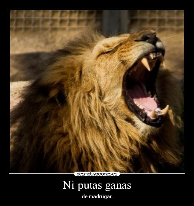 Ni putas ganas -