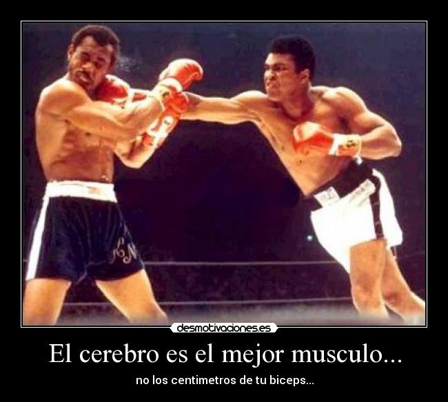 El cerebro es el mejor musculo... - no los centimetros de tu biceps...