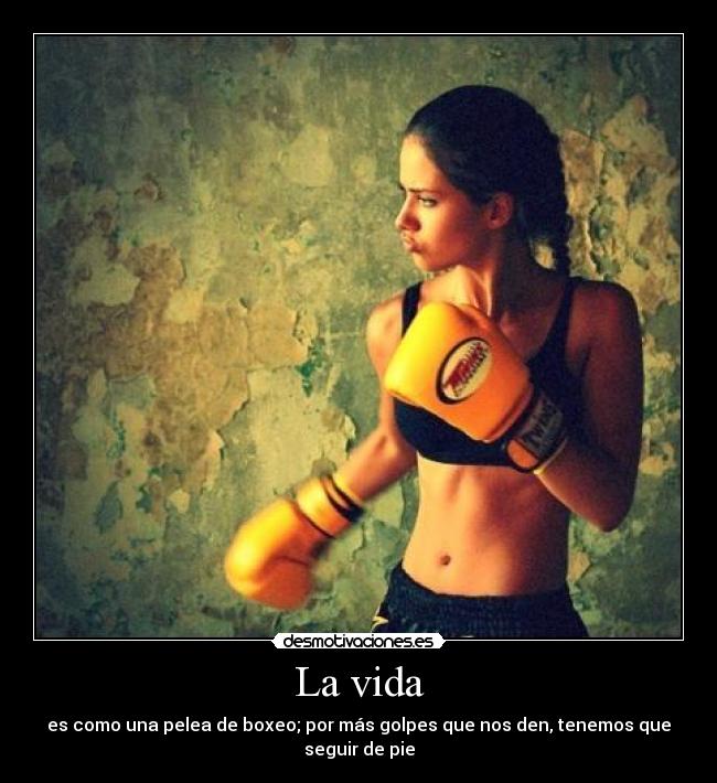 La vida - es como una pelea de boxeo; por más golpes que nos den, tenemos que seguir de pie