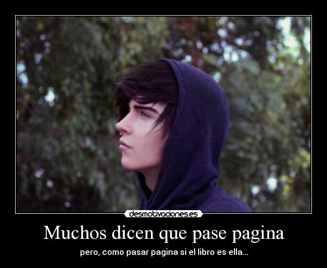 carteles cecii sixx desmotivaciones
