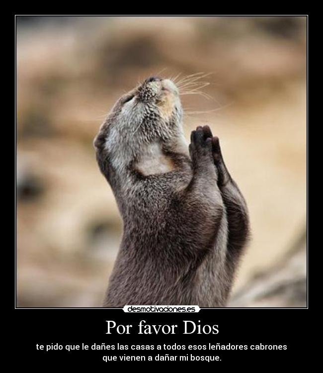 Por favor Dios -